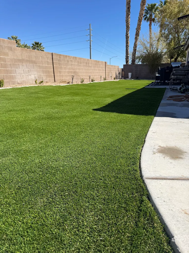 San Diego backyard with palm trees and wall backdrop showing turf and decomposed granite landscape elements