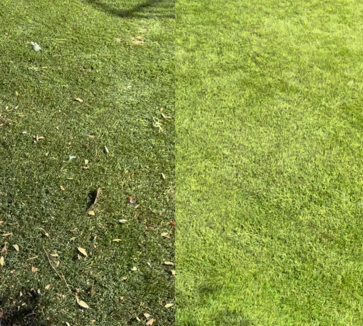 Before and after comparison of debris removal from artificial turf in San Diego