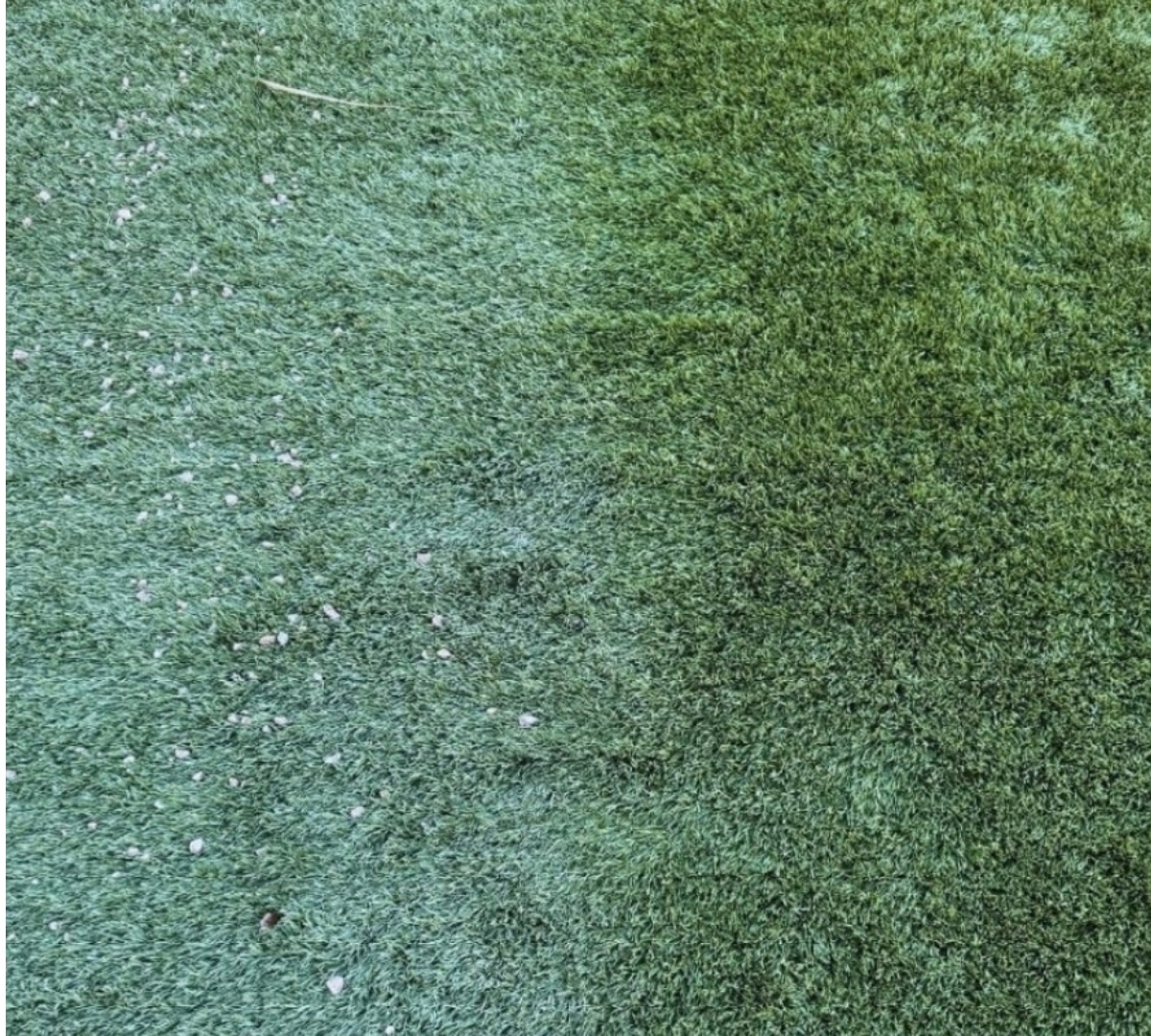 Close-up before and after cleaning of artificial turf infill showing debris removal in San Diego