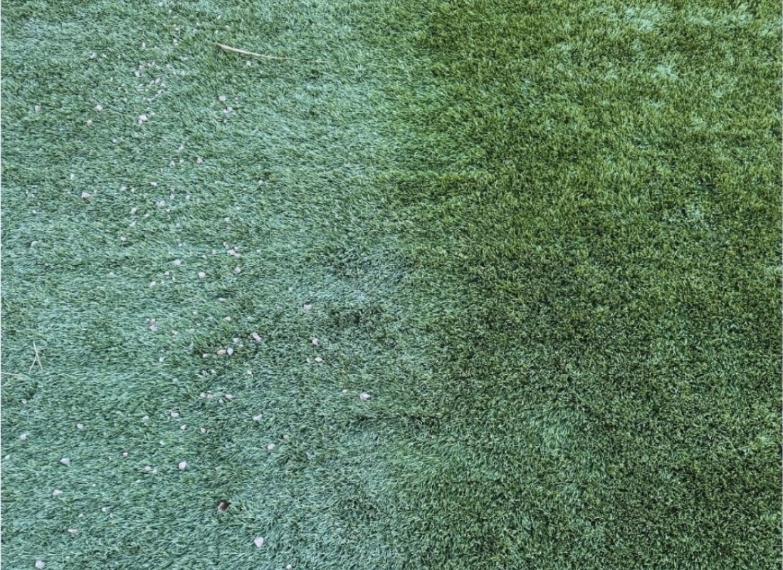 Detailed before and after comparison of properly maintained artificial turf in San Diego