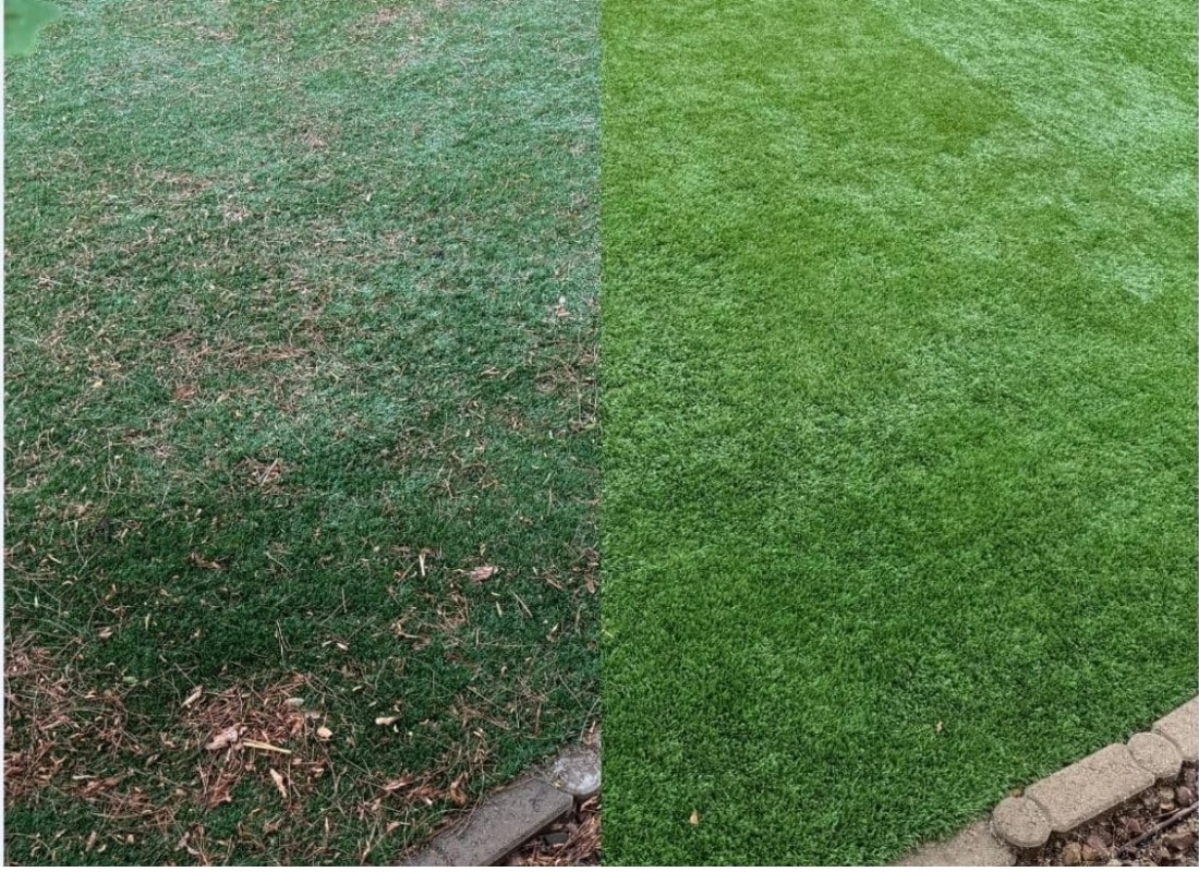 Before and after mold removal and restoration of artificial turf in San Diego