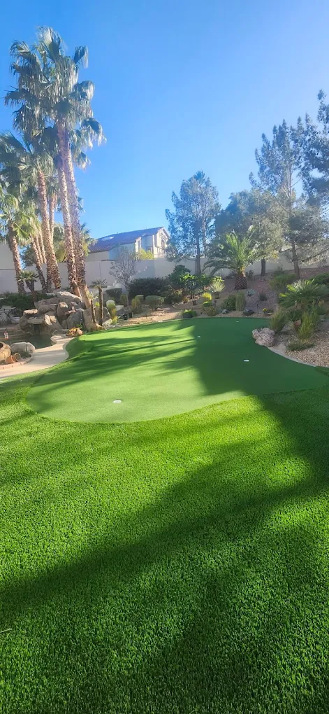 Vibrant green putting green with palm trees and decorative rocks in San Diego