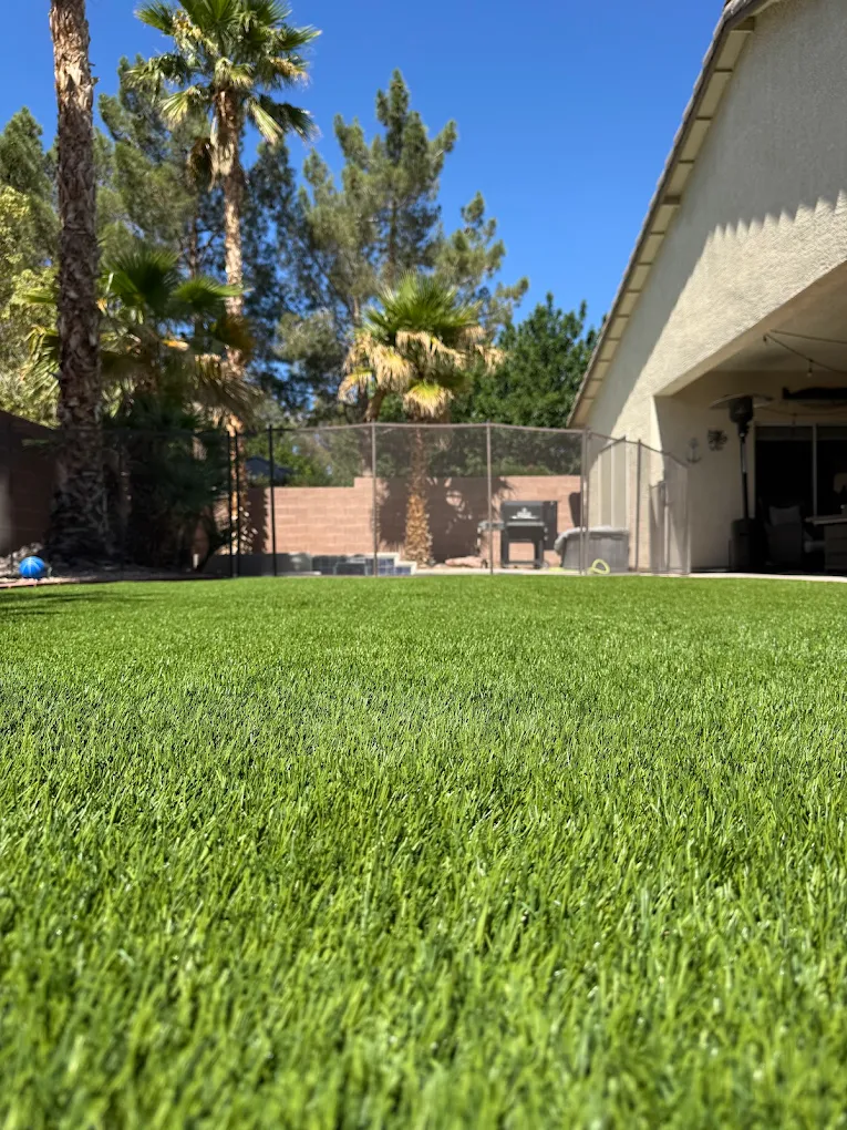Ground-level view of professionally cleaned artificial turf in San Diego