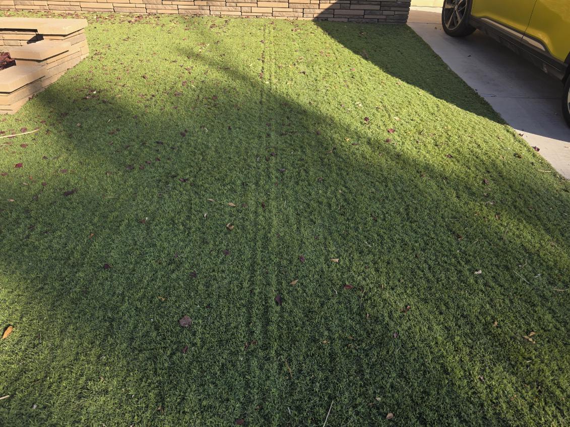 Matted and flattened artificial turf fibers needing restoration in San Diego
